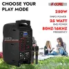 5 Core Party Speaker Bluetooth 250W Big Monster Powered Rechargeable Outdoor PA DJ System w Disco Lights 2 Wireless Karaoke Mics Portable Rolling