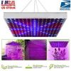 LED Grow Light Full Spectrum Hanging 225 LEDs Plant Grow Lamp Indoor Grow Light for Greenhouse Succulents Seedlings Plants Veg and Flower（15W LEDs）