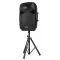 2 X 15 In Speakers Portable PA System 2000W Mixer Bluetooth Mic For DJ Party (Option: Black)